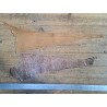 2 peaux uniques - Cabillaud - Cuir en Stock