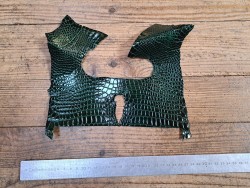 Peau de cuir de crocodile véritable - Vert anglais - Cuir en Stock