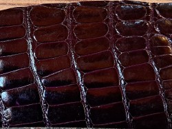 Peau de crocodile bordeaux - Cuir en Stock