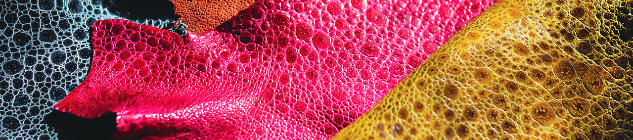 Cuir de crapaud - Cuir de grenouille batraciens - Cuir en Stock