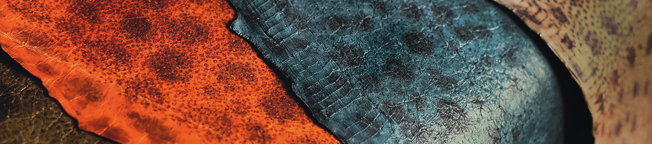Cuir de Poisson - Loup de Mer Bar - Cuir en Stock
