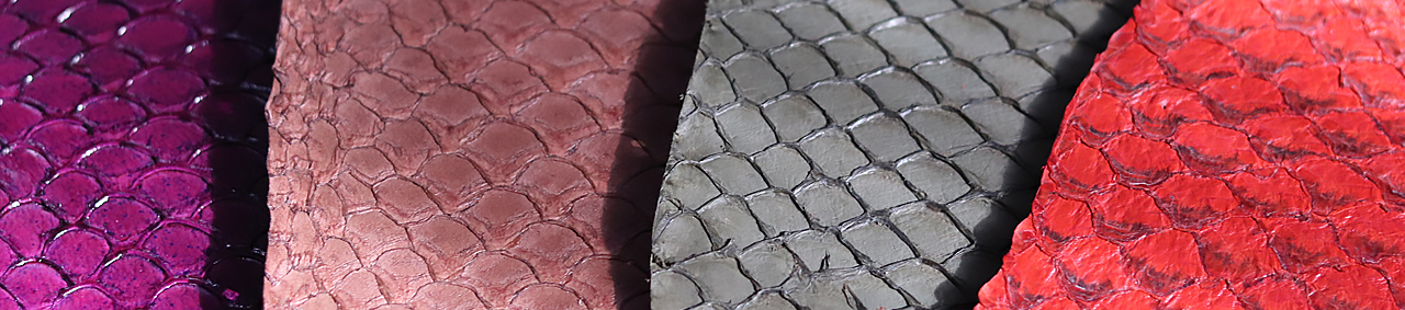 Peau de cuir de poisson Tilapia classique - Cuir en Stock