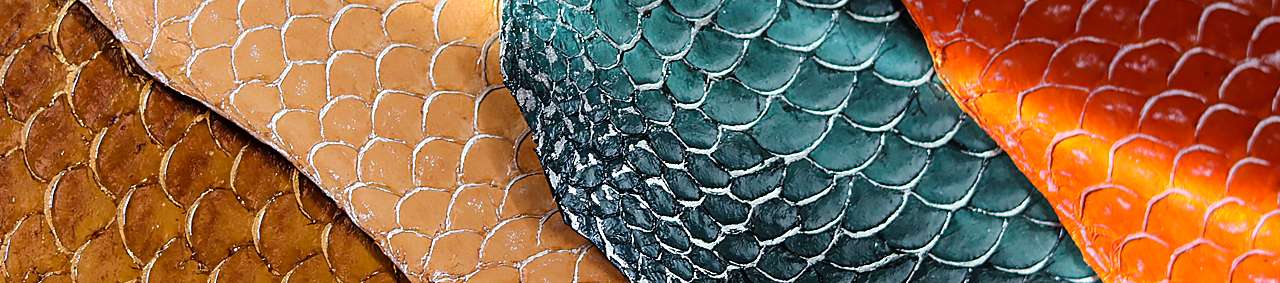 Peau cuir de poisson Tilapia métallisé doré et argenté - Cuir en Stock