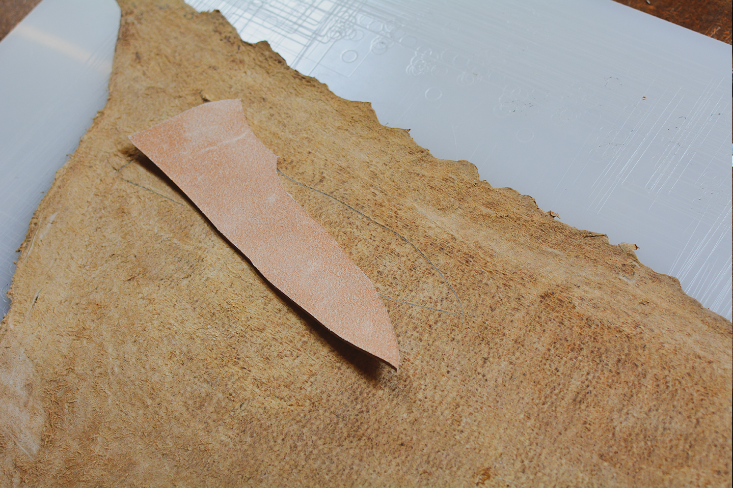 Cuir de poisson Bar Loup de Mer - Tuto étui de couteau - Les COuteaux de Toine