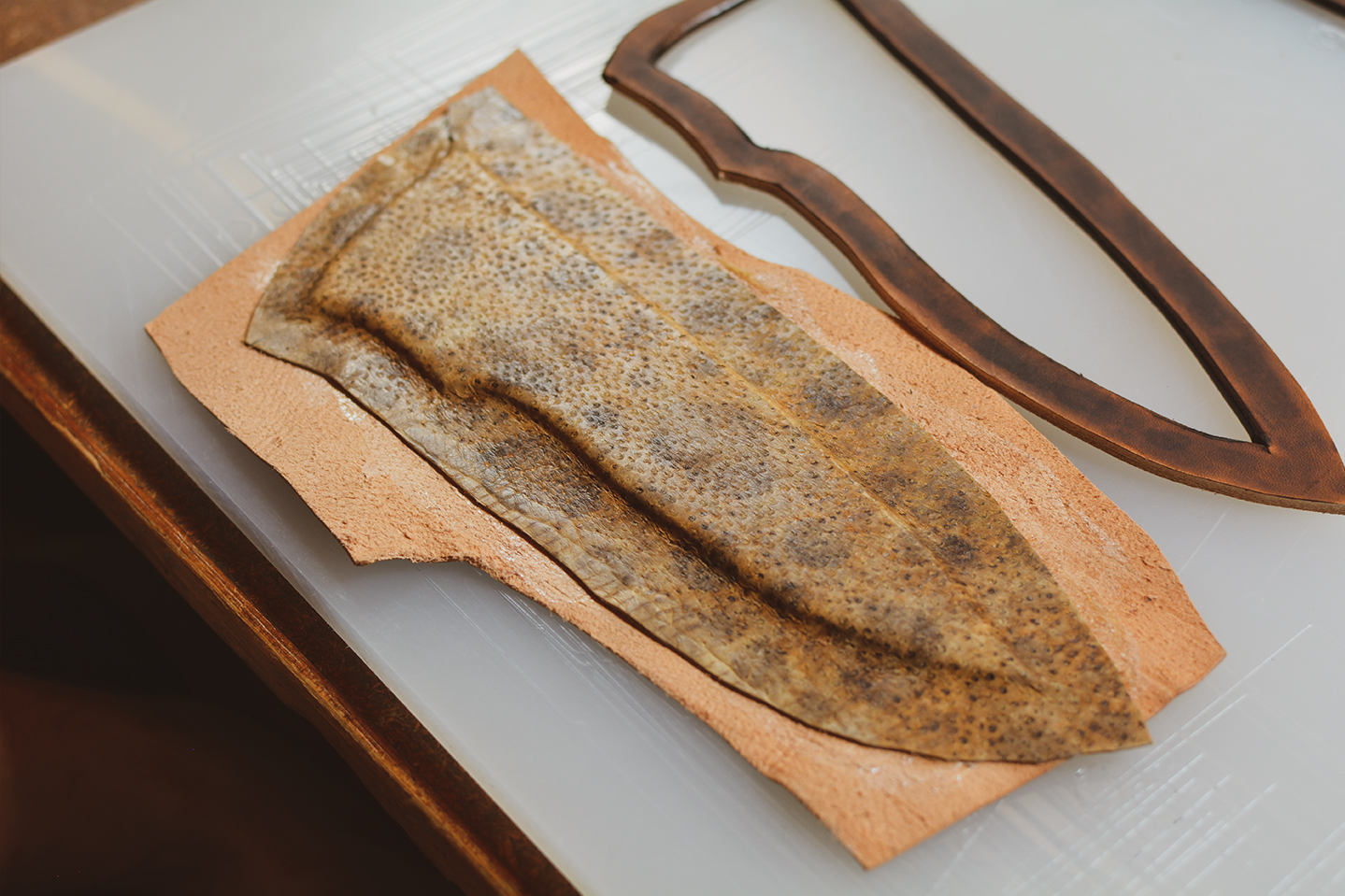 Tutoriel diy étui de couteau en cuir tannage végétal - Cuir en Stock